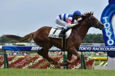 ムスコローソ競馬予想2017新潟２歳ステークス