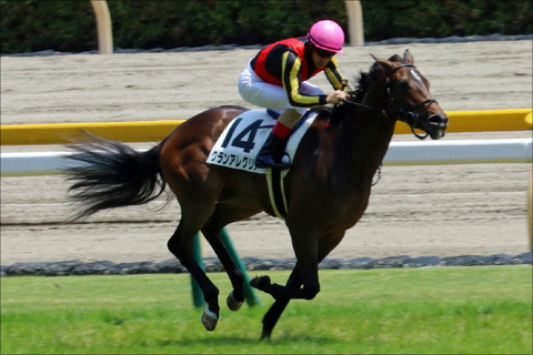 3頭ボックス予想グランアレグリア馬券的中