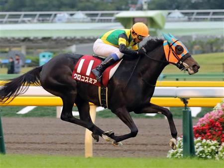 クロコスミア競馬予想2018エリザベス女王杯