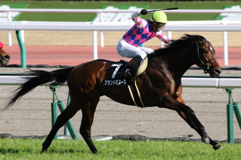 グランドボヌール馬券的中2019