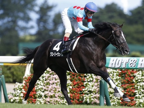 グローリーヴェイズ競馬予想2019馬券穴馬券的中