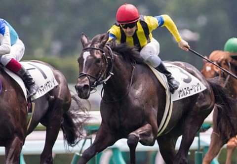 ソウルスターリング競馬予想2017うまネット