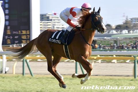 ダノンキングダム競馬2019馬券予想