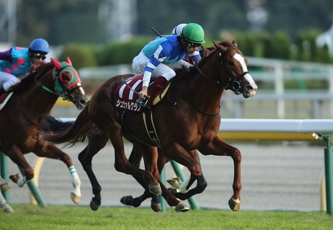 シュヴァルグラン競馬予想2018