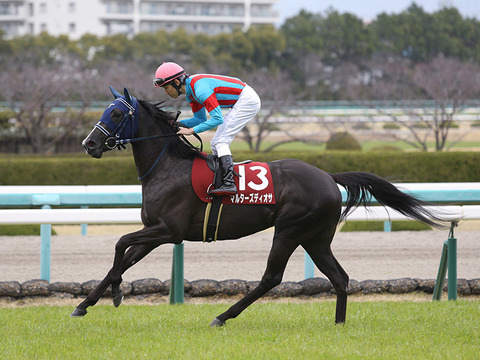 桜花賞2020予想マルターズディオサ馬券的中