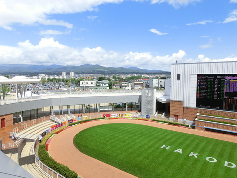 函館競馬場パドック