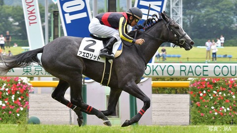 アエロリット競馬予想毎日王冠2018馬券当たる