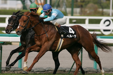 ペルーサ競馬
