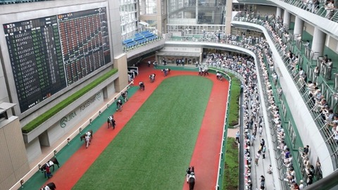 福島競馬場パドック