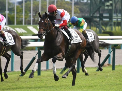 ダノンスマッシュ競馬無料予想2019馬券当