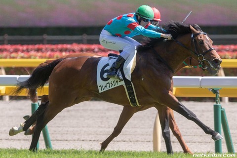 ブレイブメジャー競馬予想2019