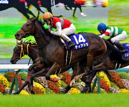 ディアドラ競馬予想2018