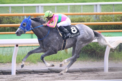 テイエムジンソク競馬予想2018馬券的中