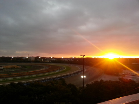 新潟競馬2015夏競馬