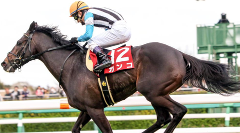 ガンコ競馬予想2019人気オッズ画像馬券当たる