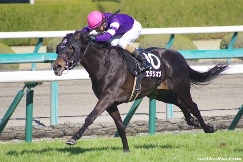 エタリオウ競馬予想馬券的中万馬券