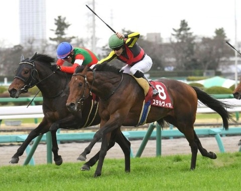ステルヴィオ天皇賞秋2018予想馬券的中