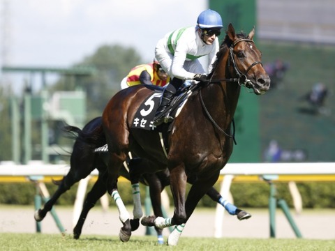 キセキ競馬予想2018馬券的中おめでとう