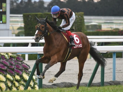 日経賞2020競馬予想モズベッロで馬券的中