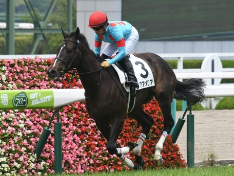 リアアメリア新馬戦2019デビュー阪神競馬