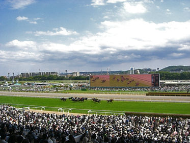 東京競馬場2015