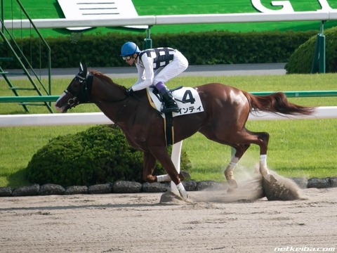 インティ競馬予想2019馬券的中