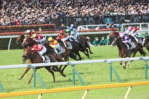 東京競馬場１