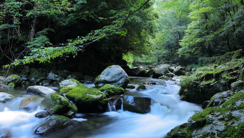 川のせせらぎ