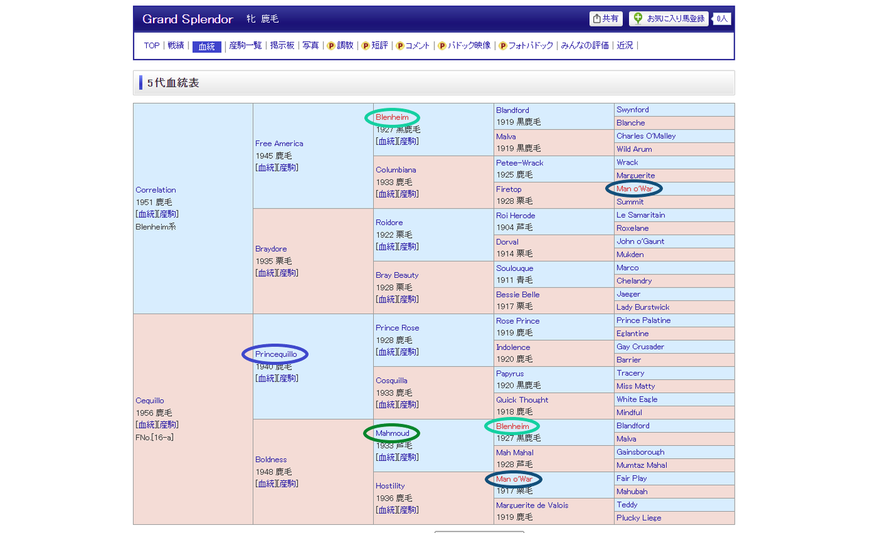 2025年新種牡馬 血統・配合考察【コントレイル編】 : さるうま！！！