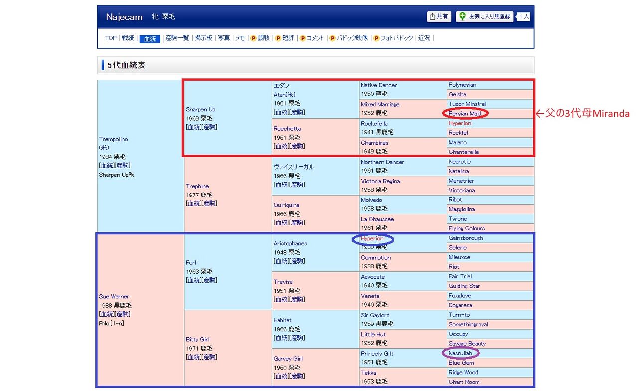 2027年新種牡馬 血統・配合考察【イクイノックス編】 : さるうま！！！