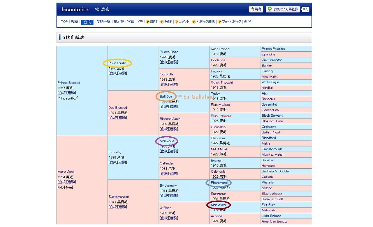 シュヴァルグラン　まとめ売り スニダントレカ秋葉原店【公式】 on X