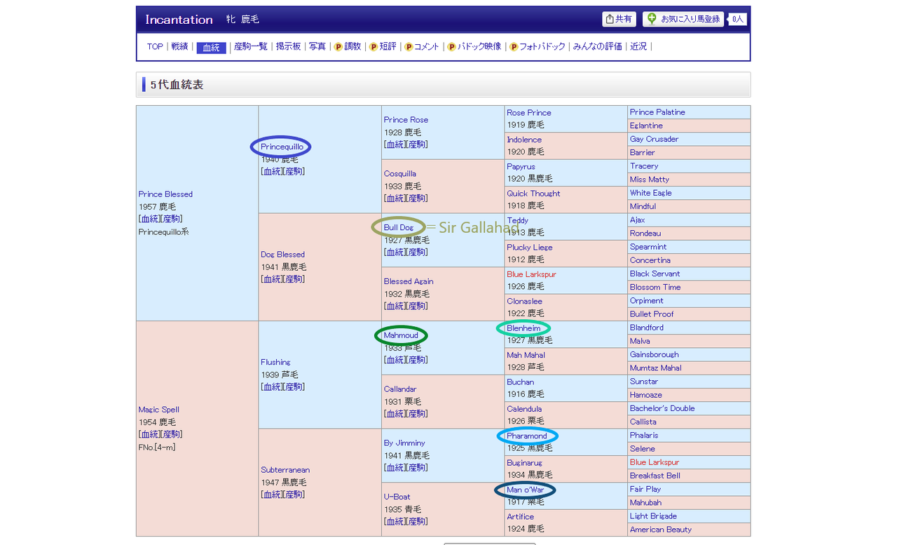 2025年新種牡馬 血統・配合考察【コントレイル編】 : さるうま！！！