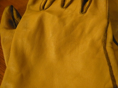 L1020854
