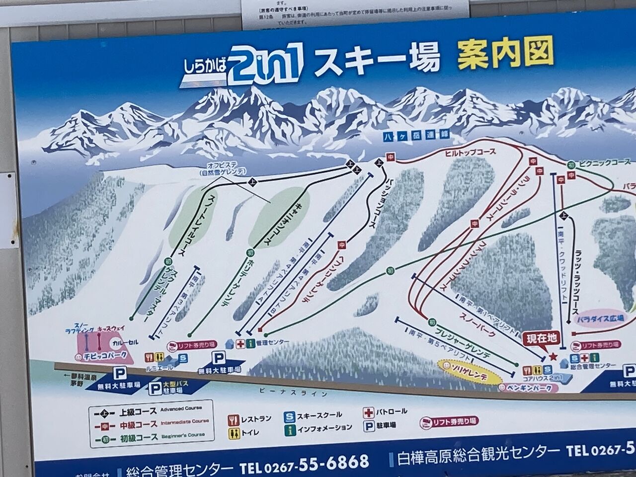 24シーズンスキー滑走記10～しらかば2in1編 : megharaの雑記帳