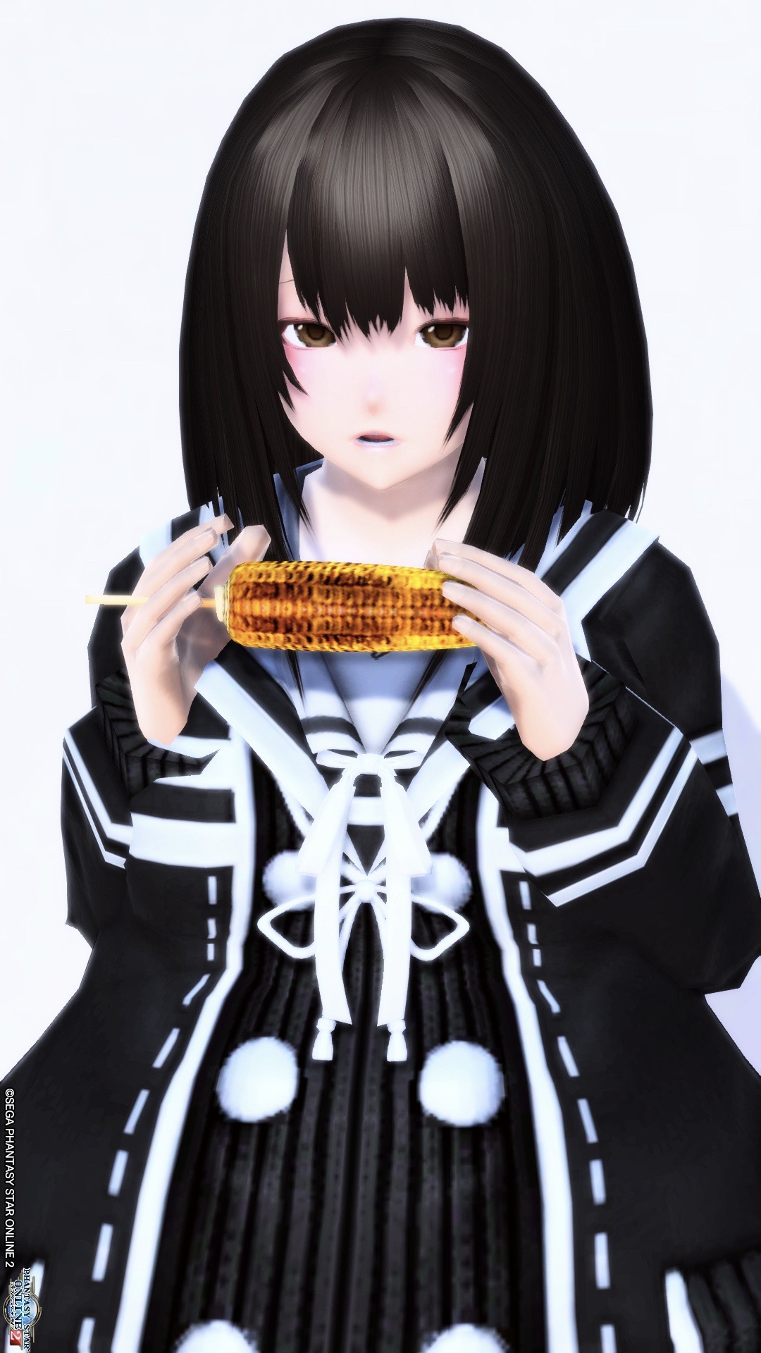 30キャラ達成 自キャラ紹介 めぐぶろ