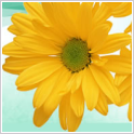 625a0545.png