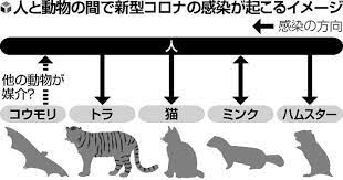 download-24