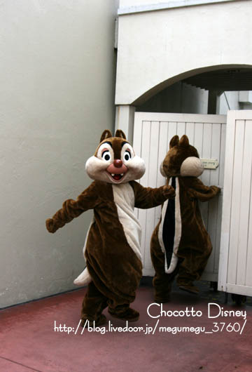 チップとデールの後姿 ちょこっとdisney