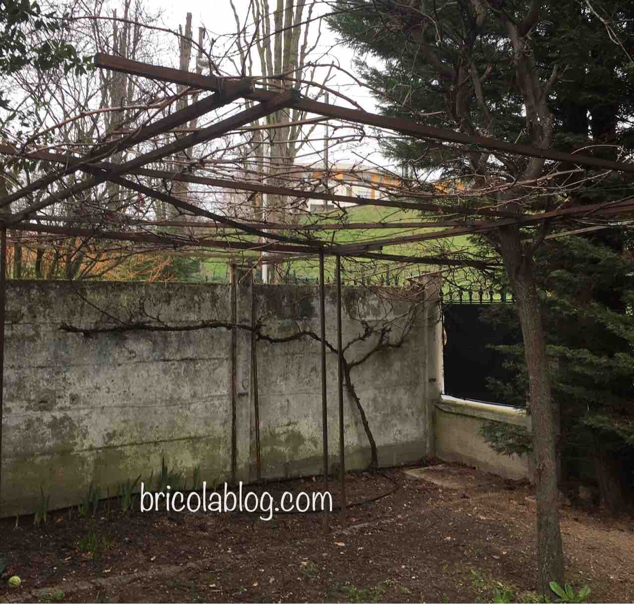 今日はぶどう棚お手入れ お金をかけないdiy 手探りブログ