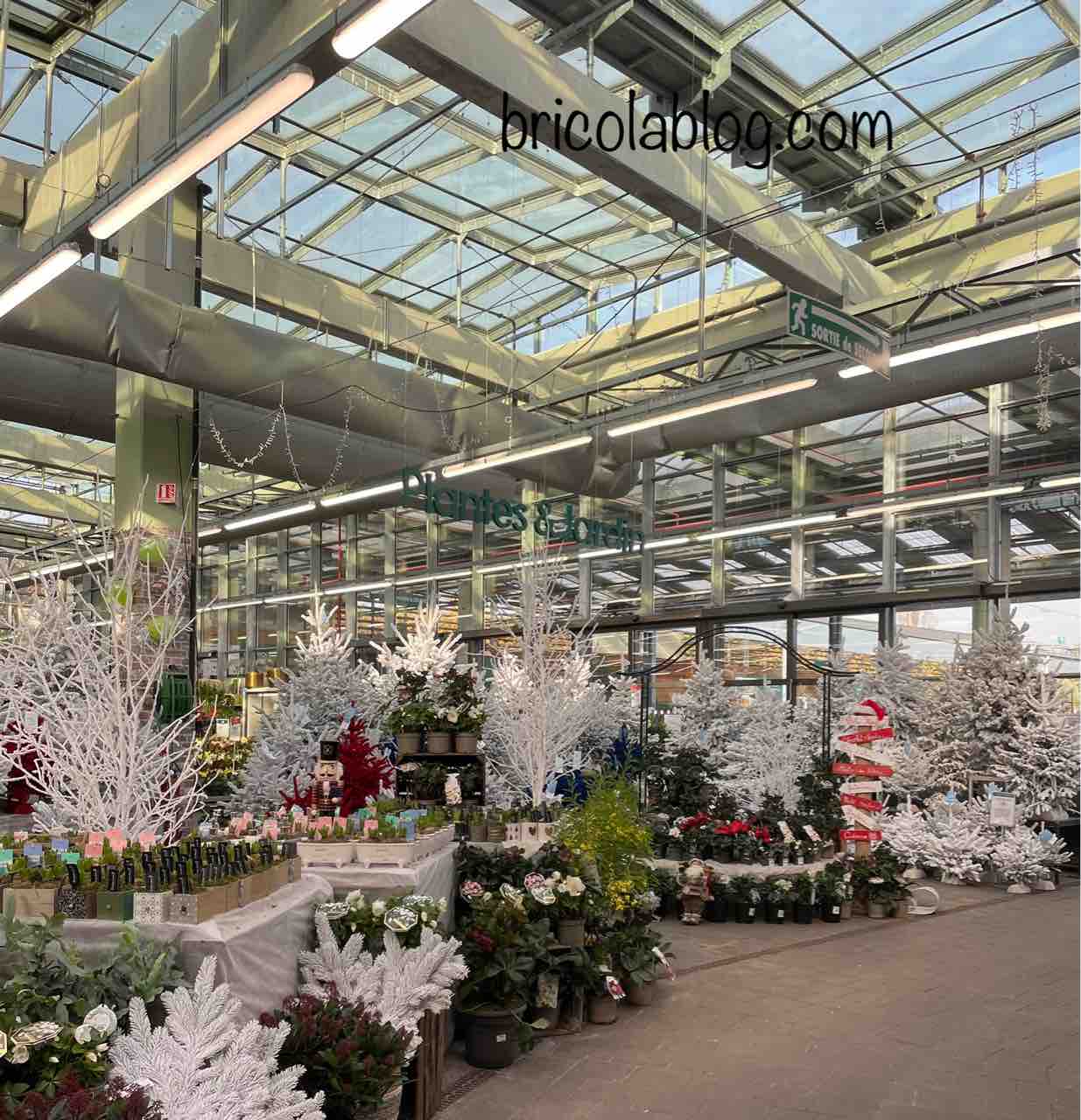 ガーデニングも室内の季節 お金をかけないdiy 手探りブログ ガーデニングも室内の季節 お金をかけないdiy 手探りブログ