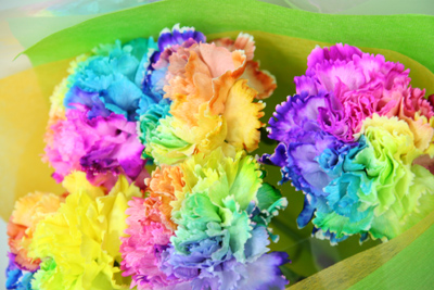 母の日のカーネーション準備中 名古屋の花屋 めぐみこ日記