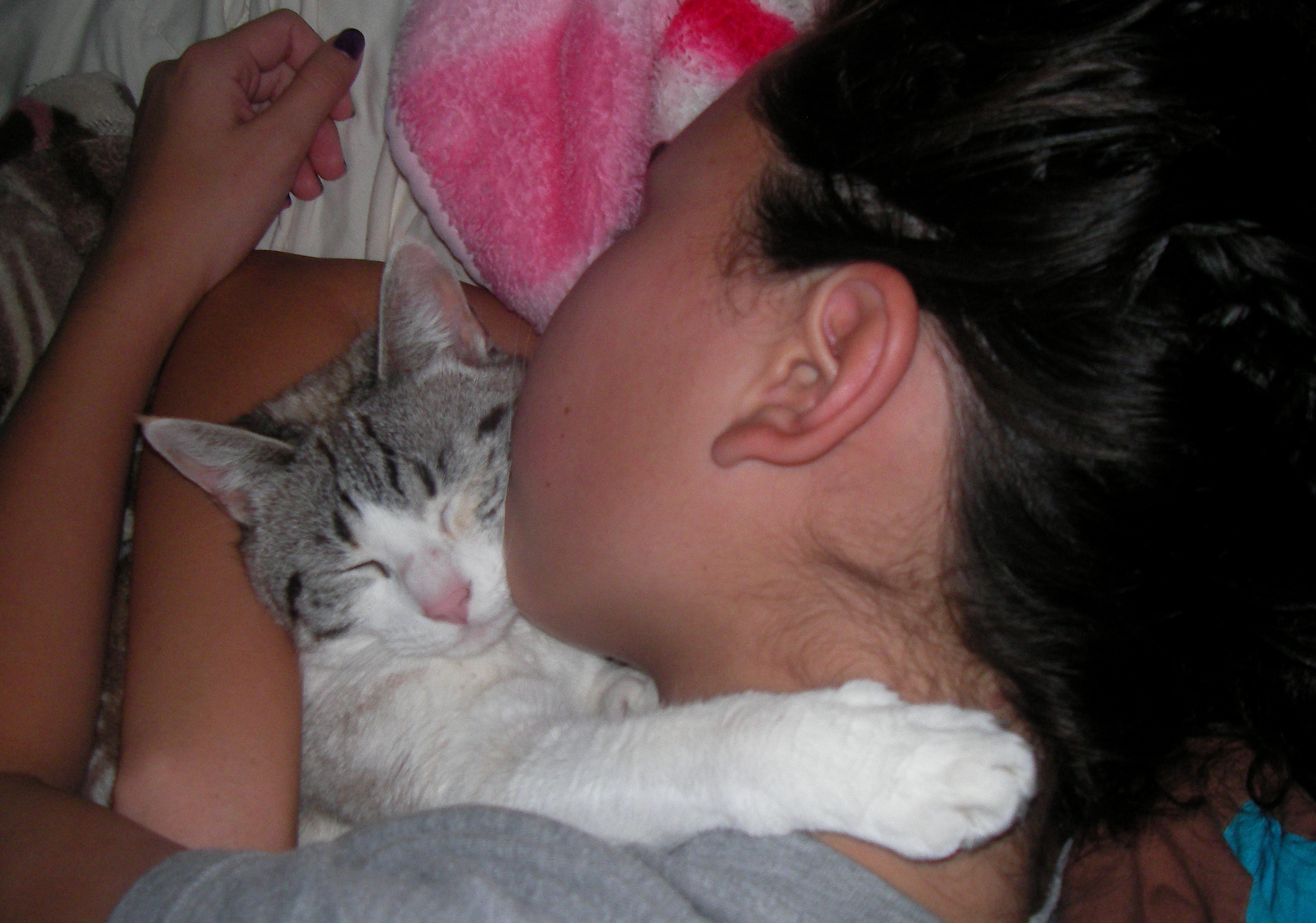 猫と寝る夜 One Love