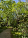 PXL_20260416_070629324