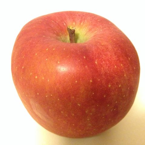 りんごは丸くない 恵美の英語教室社長日記 コーチング A