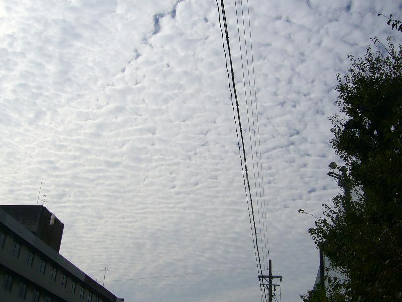 うろこ雲 恵美の英語教室社長日記 コーチング A