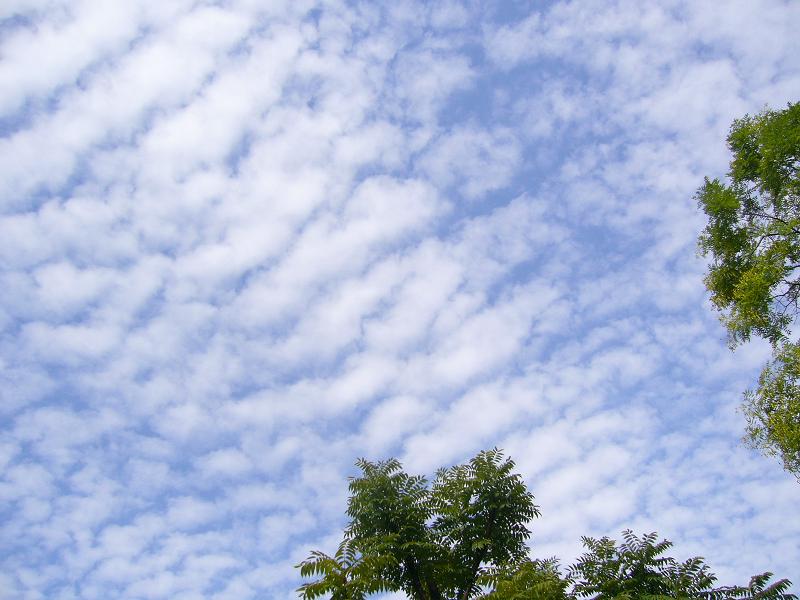 うろこ雲 恵美の英語教室社長日記 コーチング A