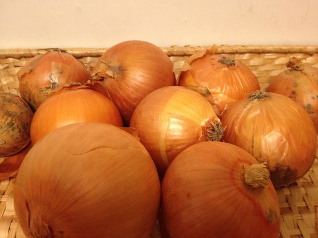 玉ねぎスープ 恵美の英語教室社長日記 コーチング A