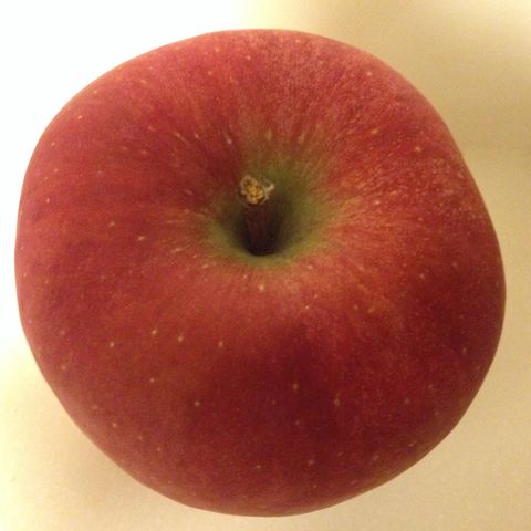 りんごは丸くない 恵美の英語教室社長日記 コーチング A