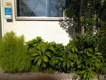 IMG_20220801_082228