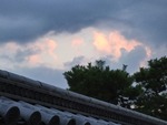 IMG_20220725_185546